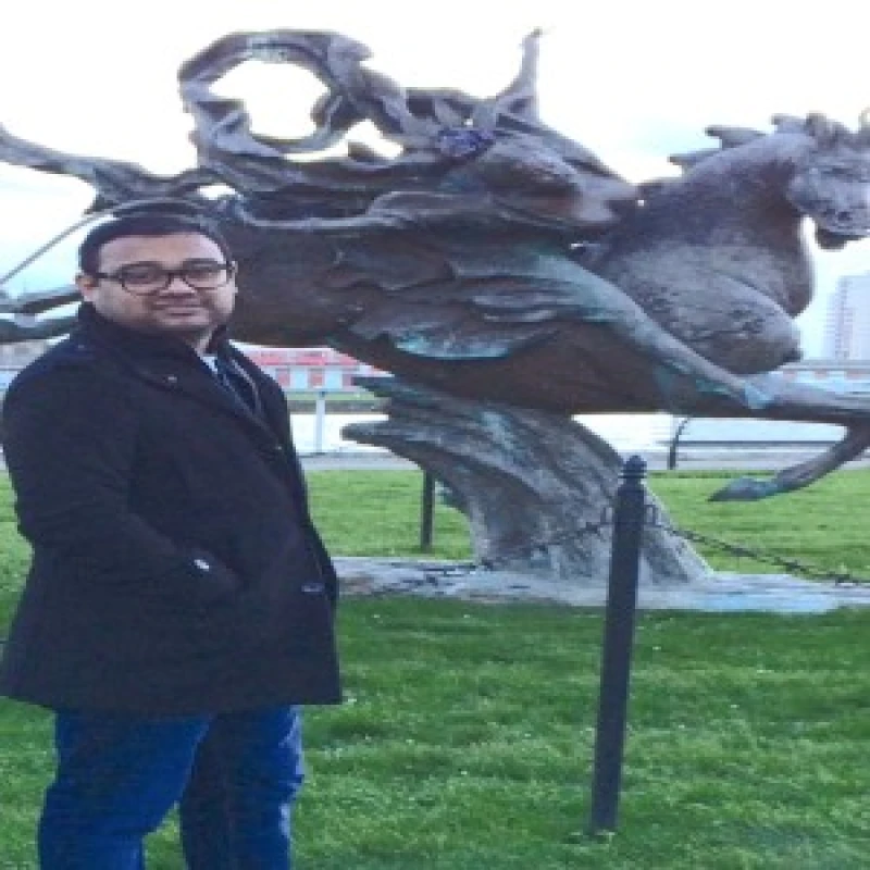 Mohammad Roni Mahmud